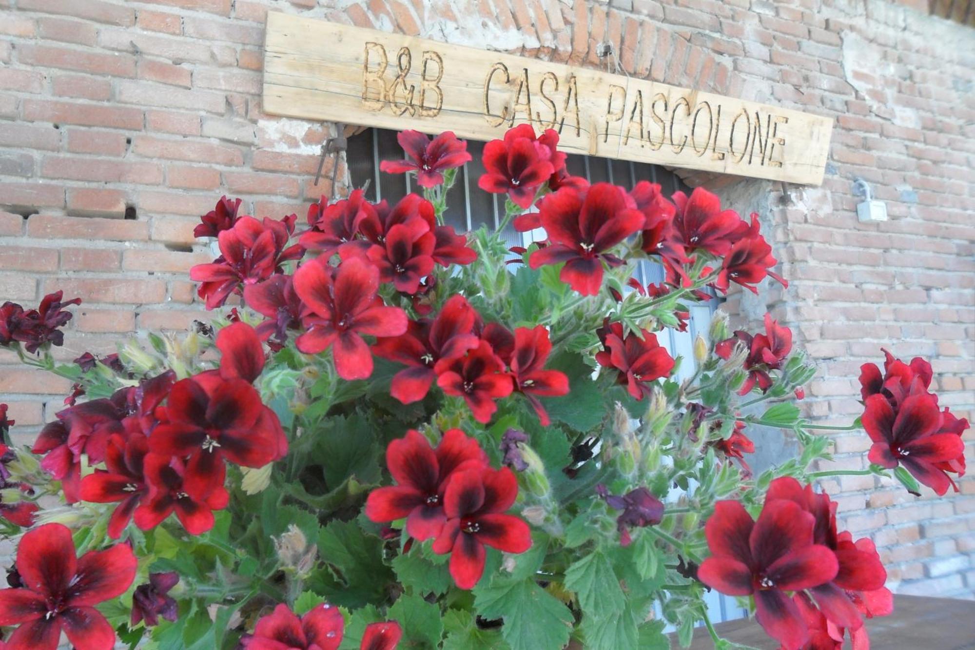 B&B Casa Pascolone Пегоньага Экстерьер фото